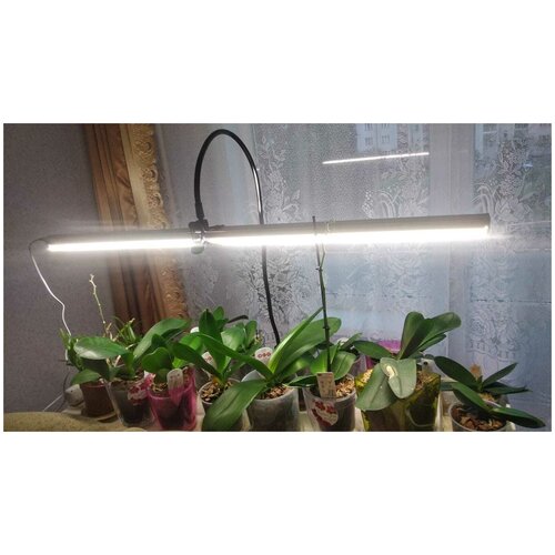 ������ ������ ��������� ��� ��������� ����������, ������ 100 ��, ������ ����