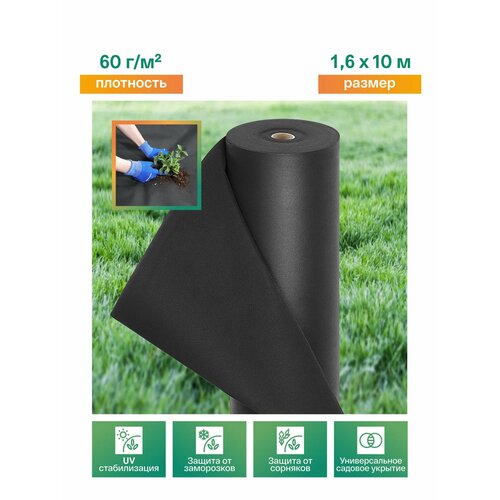 ������ ������ ����������� �������� � �� ��������������, ��������� �� ��������, ����� ��� ������� ����