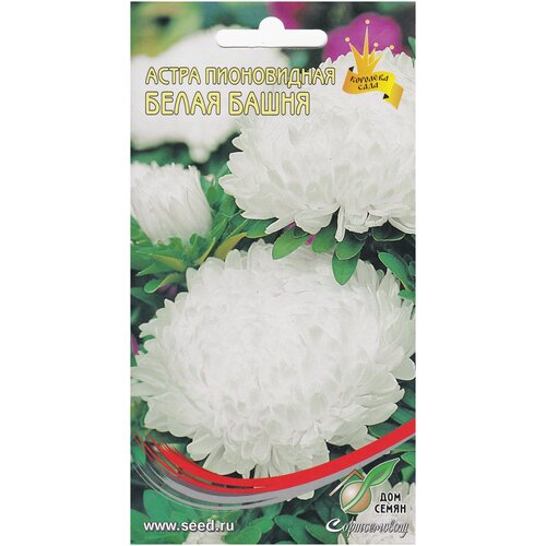 ������ ������ ����� ����������� ����� �����, 65 ����� ����