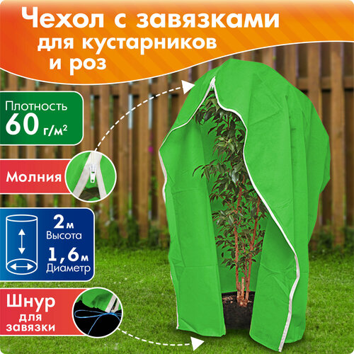 ������ ������ ������ ����� ��� ����������� � ��� ������������� �� ������, ������ 2 �, ������� 1,6 � ����