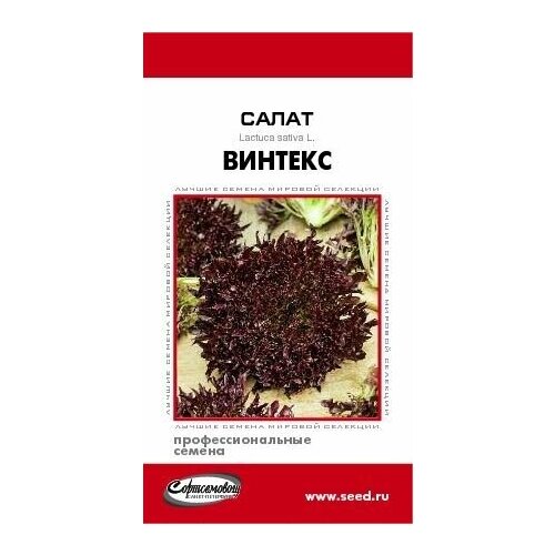 ������ ������ ����� �������, 10 ����� ����