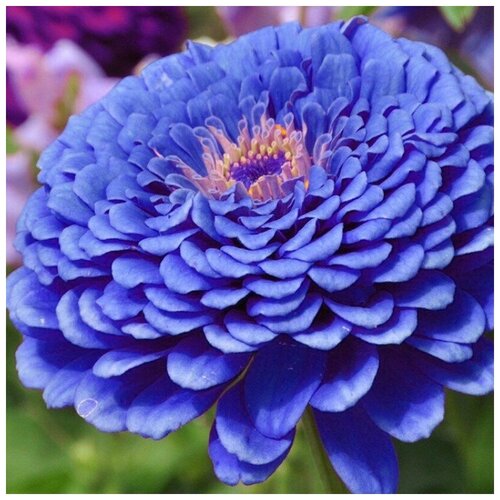 ������ ������ ������ ������ ����� ��������� �������� ����� 30 ��. ����