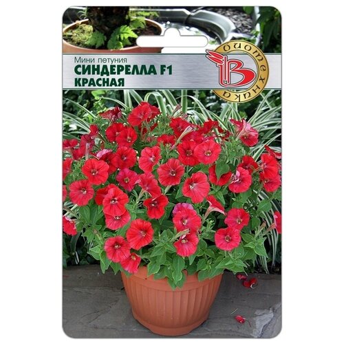 ������ ������ ���� ������� ���������� F1 ������� ����