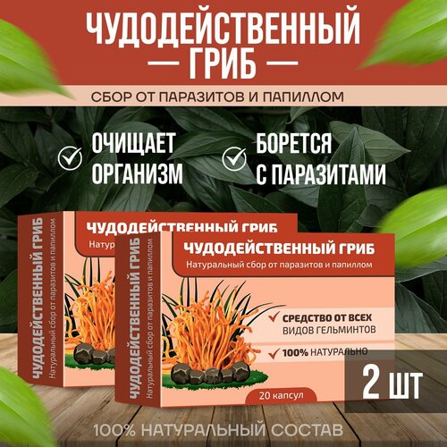 ������ ������ ��������������� ���� ���� �� ��������� � �������� 2 �������� ����