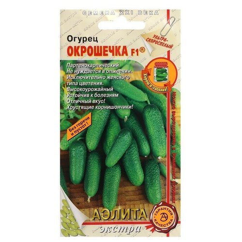 ������ ������ ������. ������ 