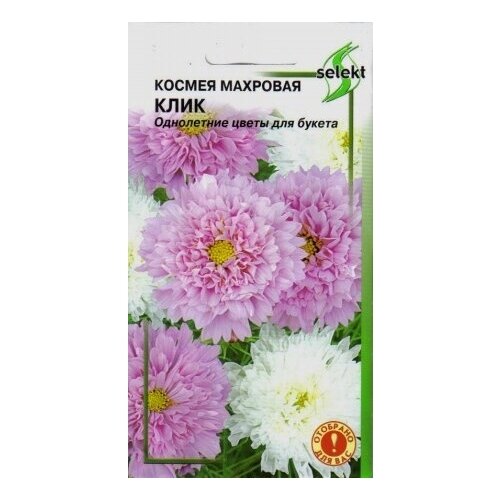 ������ ������ ������ ����, �������� �����, 18 ����� ����