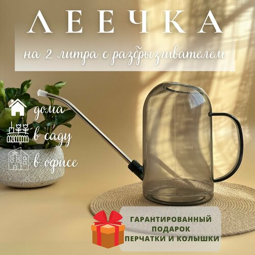 ������ ������ ����� ��� ������ 2 ����� ����