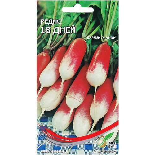 ������ ������ ����� 18-�� �������, 160 ����� ����