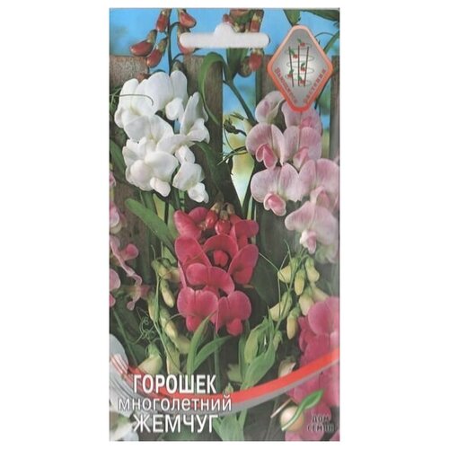 ������ ������ ������� ����������� �������� ������ �����, 9 ����� ����