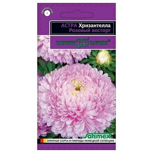 ������ ������ ������. ����� ����������� 