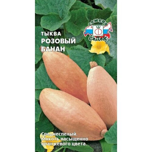 ������ ������ ����� ������� �����, 1 �����, ������ 1�, ����� ����