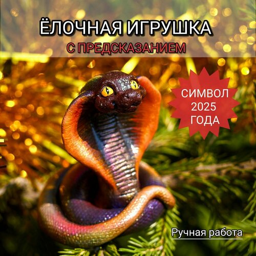 ������ ������ ������� ������� ���� ������ ���� 2025 ����