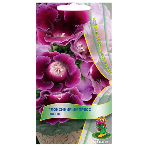 ������ ������ ������ ��������� ����� ������� ����� 5 �� ����