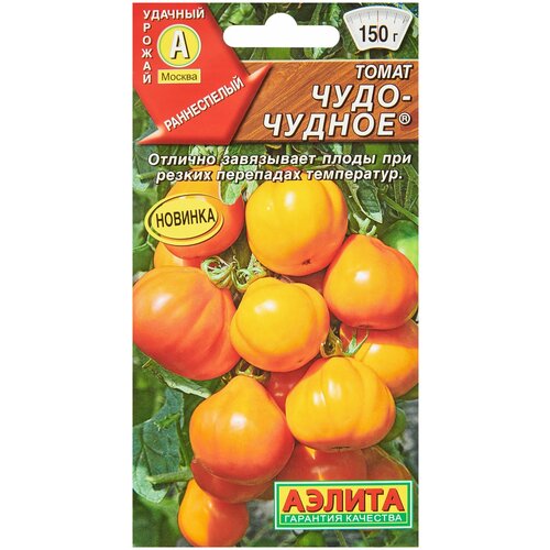 ������ ������ ������. ����� 