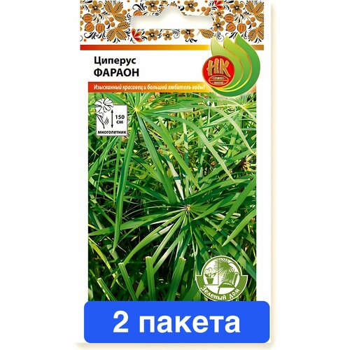 ������ ������ ����� ������� ������ 2 ������ ����