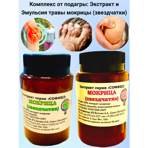 ������ ������ �������� �� �������, �������� � �������� ����� ������� (����������) ������ ����