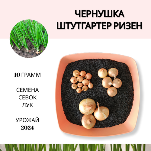 ������ ������ ������ ���� ����� 10 ����� �������� ���������� �����, ��� ������ � ����������� ������, ����