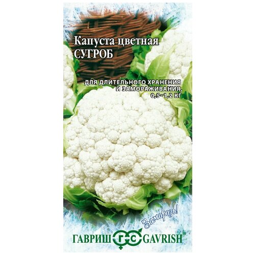 ������ ������ ������ ������� ������� ������, 0,5�, ������, ��������, 10 �������� ����