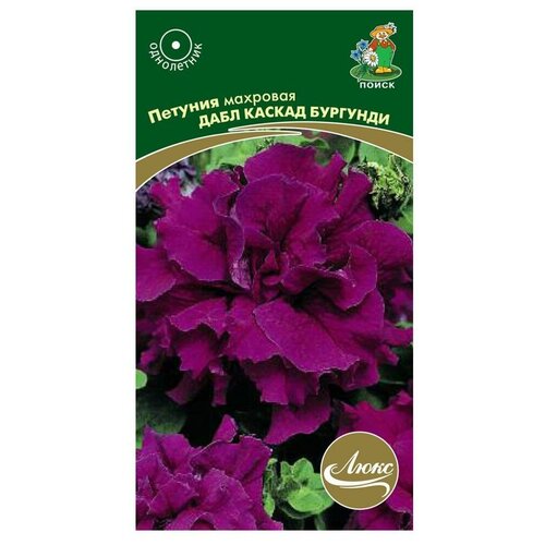 ������ ������ ������ ����� ���� ������� �������� ���� ������ �������� 10 ��. ����