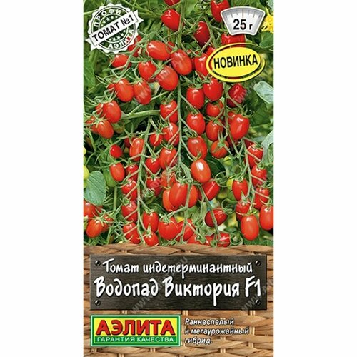 ������ ������ ������ ����� ������� �������� F1 (������) 10�� �����-������ ����