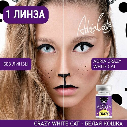    ADRIA Crazy, 1 ., R 8,6, D 0, ADD: , white cat, 1 .   -     , -,   