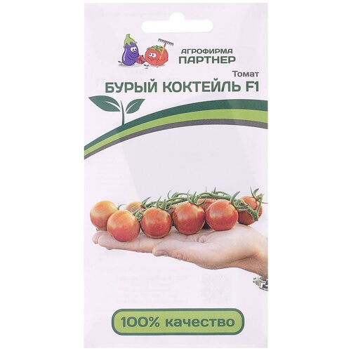 ������ ������ ������� ����� 