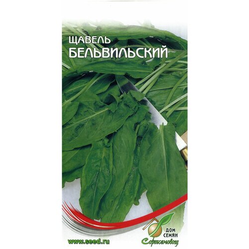 ������ ������ ������ ������������, 100 ����� ����