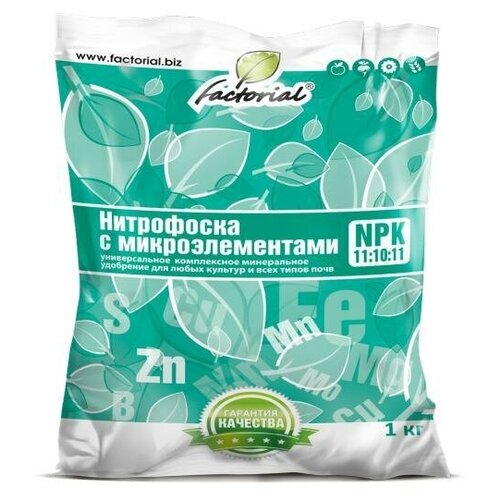 ������ ������ ���������� � ��������������� 1�� ��������� ����