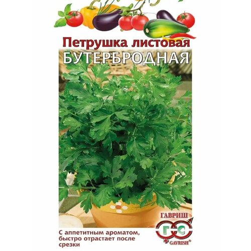 ������ ������ ������ ������ �������� �������� ������������ 2 � ����