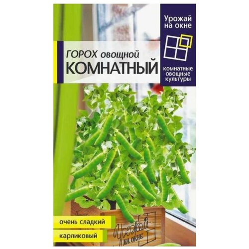 ������ ������ ������ ����� ������� ��������� (10�) ����