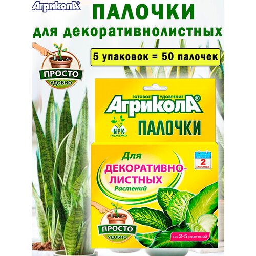 ������ ������ �������� ������� ��� ������������������ ��������, 5 �������� ����