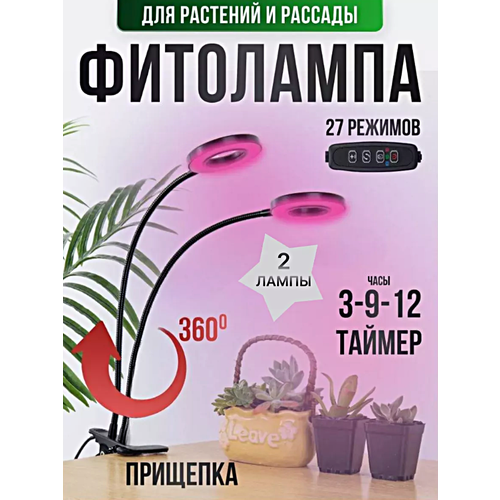 ������ ������ ��������� ��������� ��� �������� � �������, ���������������� ����� �� �������� ��� �������� ����, ����, 2 ����� ����