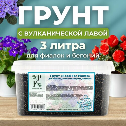 ������ ������ �������� ��� ��������� ��������. ����� ��� ������, ��������������� � ������� ����