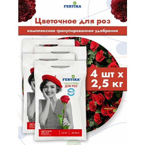 ������ ������ ��������� ������� ��������� ��� ��� �����-����-����� ����������� ���������������, 4 �� �� 2,5 �� ����