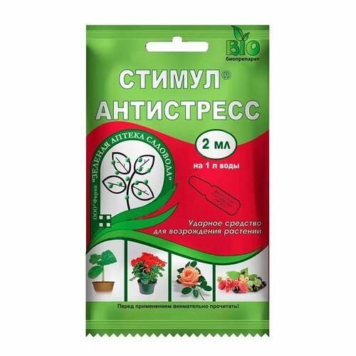 ������ ������ ������ 2�� (������� ������ ��������) ����