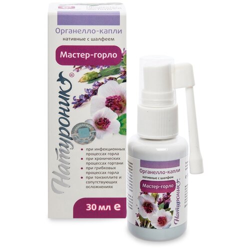 ������ ������ ��������� ����� �������-�����, 30 �� ����