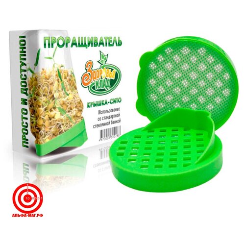 ������ ������ ������������� ������-���� ����