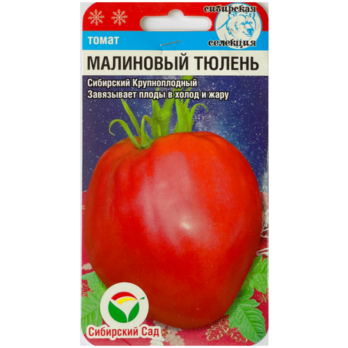 ������ ������ ������ ����� ��������� ������, 20 ����� ����