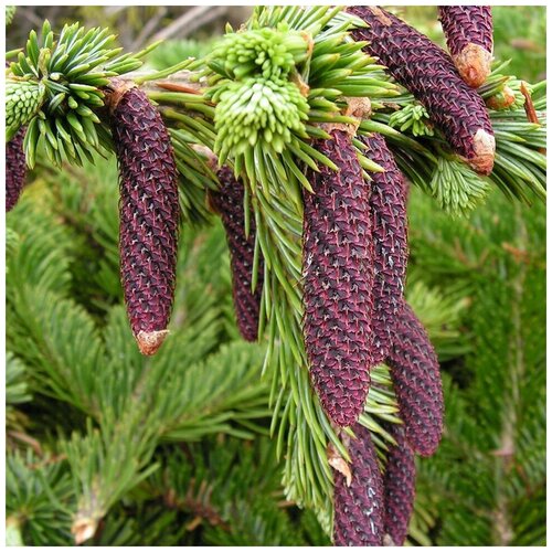 ������ ������ ������ ������ ��� ������� 20 ��. ����