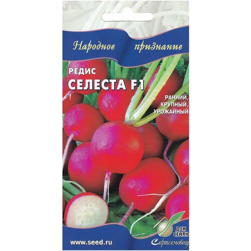 ������ ������ ����� ������� F1, 60 ����� ����