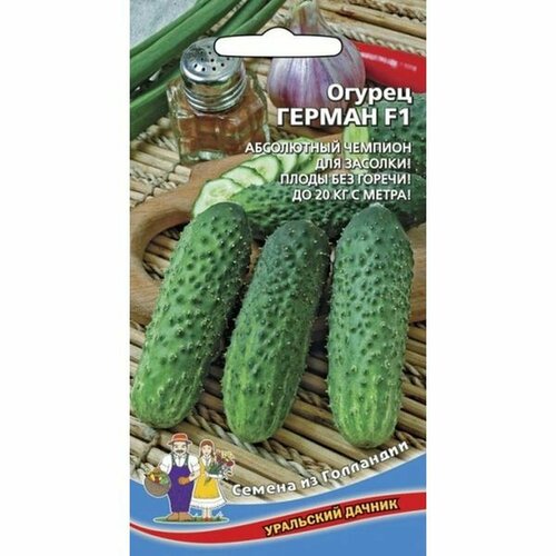 ������ ������ ������ ������ ������ F1 (������������������) 8�� ����