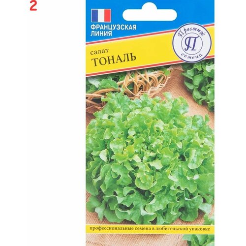 ������ ������ ����� ������ 10 ��. (2 ��.) ����