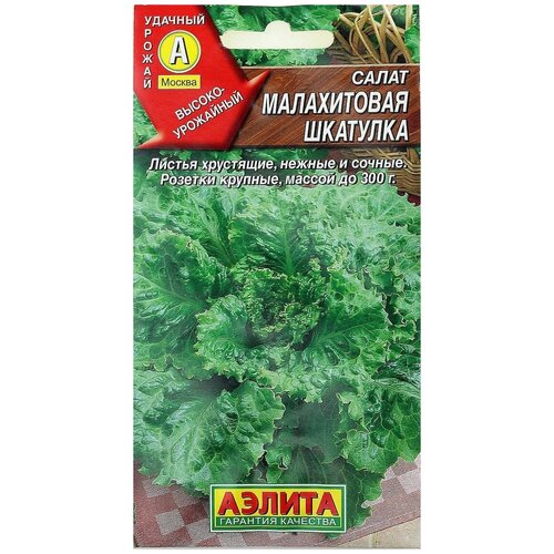 ������ ������ ������. ����� �������� 