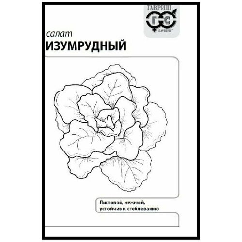 ������ ������ ������. ����� 