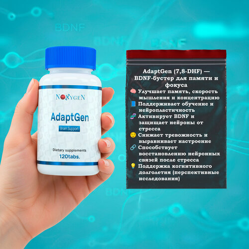 ������ ������ Noxygen AdaptGen 60 ����. ������� ���������� ���������, �������� �������� �����, ���������� � ����������� �������. ������������� ����������. ���������� �������� ��� �������������� ������ ����� � ��������� � ��������. ����