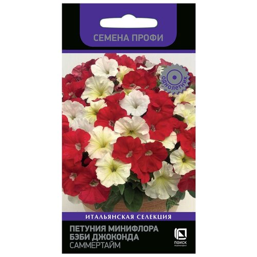 ������ ������ ������� ��������� ���� �������� ���������� (������ �����) ����