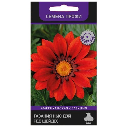 ������ ������ ������� ��� ��� ��� ������ (������ �����) ����