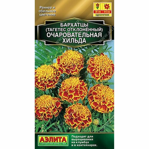 ������ ������ ������ �������� �������������� ������ ����������, (������) 0,3� ������� ����� ����