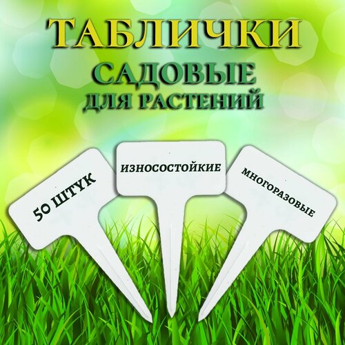 ������ ������ �������� ��� ���������� �������� �������, 50 ���� ����