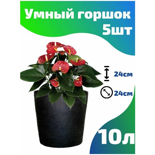      , ,  Smart Pot - 10  5 . 